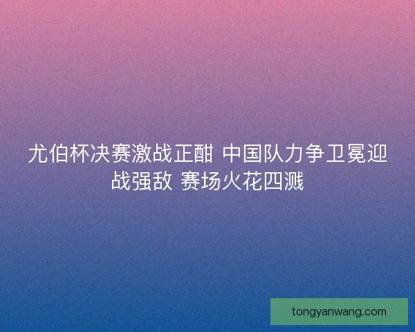 尤伯杯决赛激战正酣 中国队力争卫冕迎战强敌 赛场火花四溅