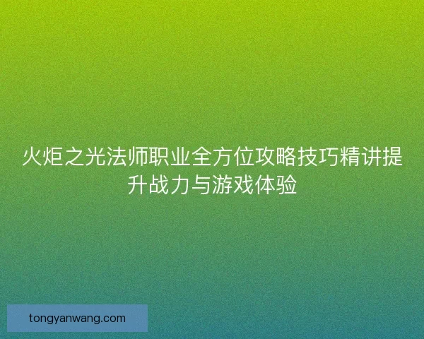 火炬之光法师职业全方位攻略技巧精讲提升战力与游戏体验