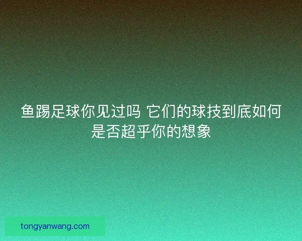 鱼踢足球你见过吗 它们的球技到底如何是否超乎你的想象
