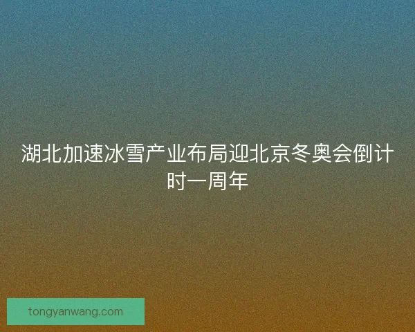 湖北加速冰雪产业布局迎北京冬奥会倒计时一周年