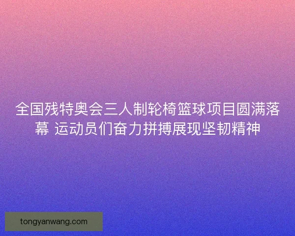 全国残特奥会三人制轮椅篮球项目圆满落幕 运动员们奋力拼搏展现坚韧精神