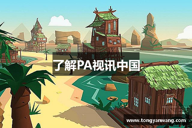 了解PA视讯中国